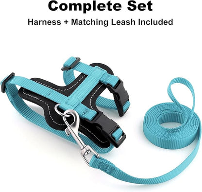 Plutus Pet Adjustable Cat Harness and Leash Set, Quick Release, Escape Proof Nylon Vest with Leather Trim for Kitten, Small Medium Large Cats, Light Blue