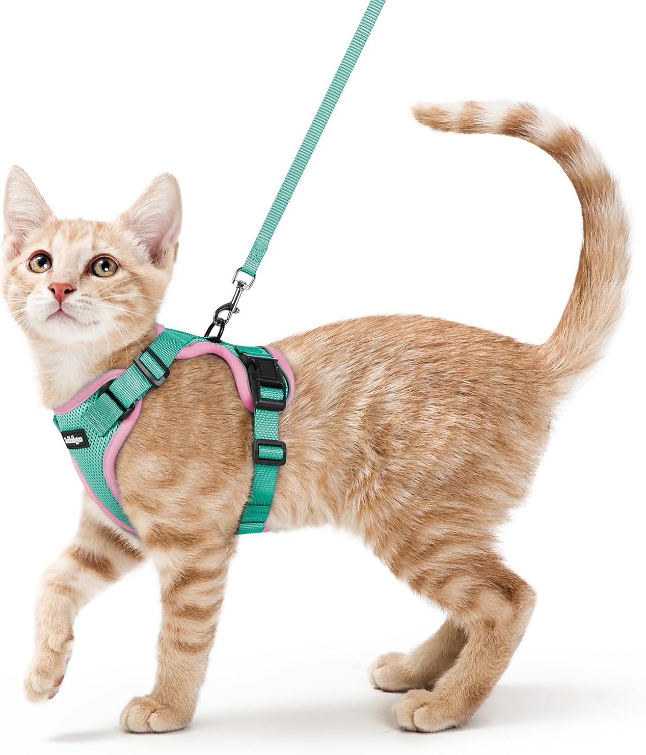 rabbitgoo Cat Harness and Leash for Walking, Escape Proof Soft Adjustable Vest Harnesses for Cats, Easy Control Breathable Reflective Strips Jacket, Pink&Light Green, S