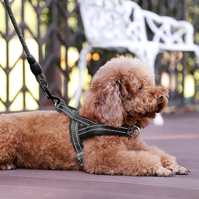 Plutus Pet No Pull Dog Harness with Breathable Mesh Padded, Adjustable Reflective Escape Proof Dog Harness, Quick Fit Dog Vest Harness for Small Medium Large Dogs(S, Black)