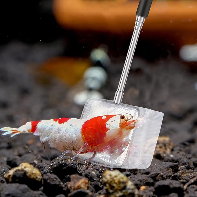4 Pieces Fish Tank Shrimp Net Extendable Handle Shrimp Net Stainless Steel Small Aquarium Catch Mesh with Adjustable Handle for Aquarium Fish Tank Pond