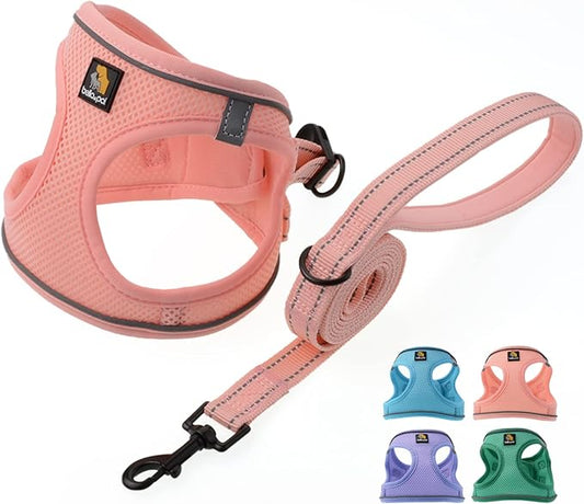 BELLA & PAL Step in Vest Harness for Small and Medium Dogs, No Pull Small Dog Harness with Leash Set, Comfortable Air Mesh Dog Vest Harness with Reflective Strip (Coral Pink, XXS)