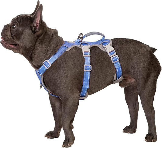 Huntboo Escape Proof Harness for Dogs, No Escape Dog Harness, No Pull Dog Harness for Small Dogs with Handle, Reflective, Breathable,Durable, Adjustable Vest for Walking,and Running Gear(Vista Blue,S)