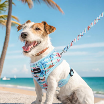 SCENEREAL Small Dog Harness and Leash Collar Set - No Pull Dog Harness for Small & Medium Sized Dogs - Soft Mesh Vest for Puppies, Chihuahua, Yorkie, Spring Summer Hiking Walking, Coconut Tree XS