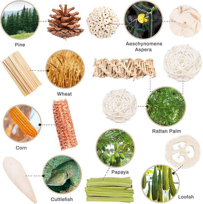 40 Pcs Bird Parrot Toys, Natural Bird Foraging Toy for Cockatiels, Lovebirds, Budgies, Small to Medium Parrot
