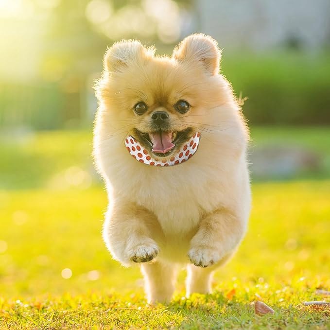 Basketball Game Sports Dog Collar Soft Pet Collars for Small Medium Large Breed Dogs Cats Puppy Kitten Terrier