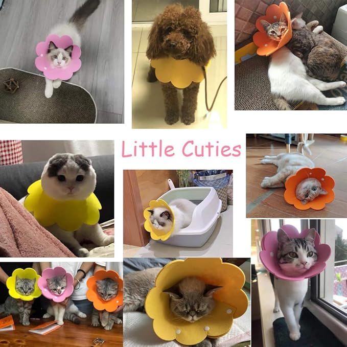 Adjustable Cat Recovery Collar - Cute Flower Neck Cones After Surgery, Set of 2, Surgery Recovery Elizabethan Collars for Kitten and Cats S Size (2 pcs)