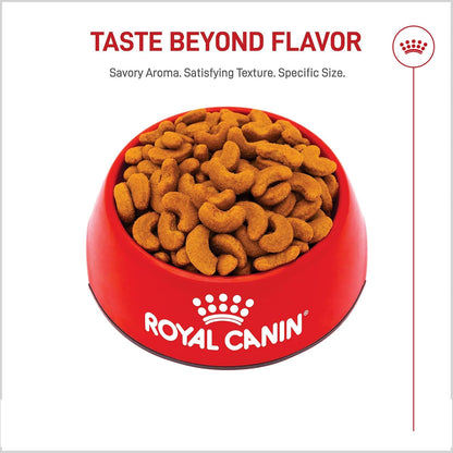 Royal Canin Breed Health Nutrition French Bulldog Adult Dry Dog Food, 6 lb Bag