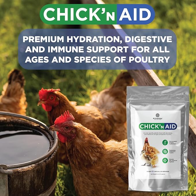 Chick’n Aid Chicken Supplement for All Ages (8 oz, Pack of 1) - Chicken Vitamins, Electrolytes, and Probiotics - Multipurpose Poultry Vitamins for Chickens, Ducks, and Turkeys