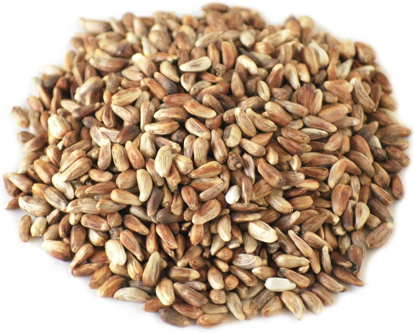 Co. 20-Pound Bag Nutra-Saff Safflower Seed Wild Bird Food Seed