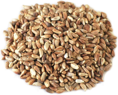 Co. 20-Pound Bag Nutra-Saff Safflower Seed Wild Bird Food Seed