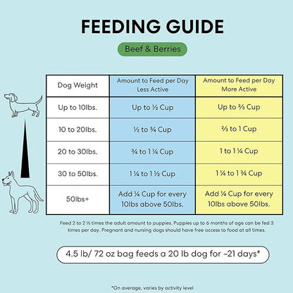 The Pets Table Air Dried Grain Free Dog Food for Dogs Large, Medium and Small | Puppy Dog Food, Adult Dog Food, Senior Dog Food | Beef & Berries 4.5 lbs / 72 oz Bag