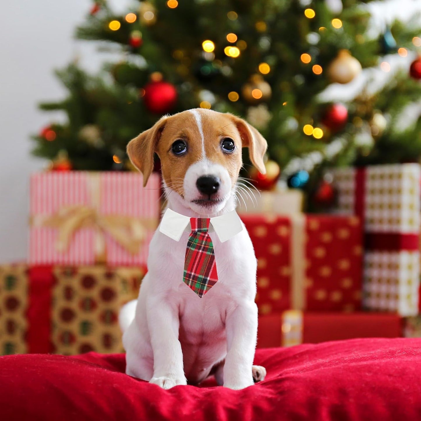 ADOGGYGO Christmas Dog Necktie Tuxedo, Red Plaid Pet Christmas Neck Tie Collar for Small Medium Large Dogs Pets (Small)