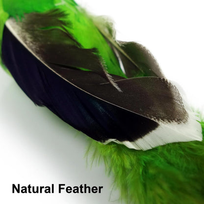 TTcat 2 Pcs Real Feather Cat Bird Toys Realistic Simulation Bird Cat Toys with Bells for Indoor Cats Kittens.