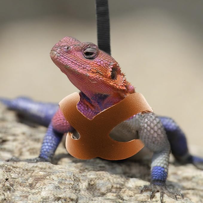 Bearded Dragon Harness and Leash Set, 3-Size Adjustable Soft Leather Reptile Leash for Training & Walking, Lizard Harness with Traction Rope, Walking Vest for Small Animal Outdoor (Brown)