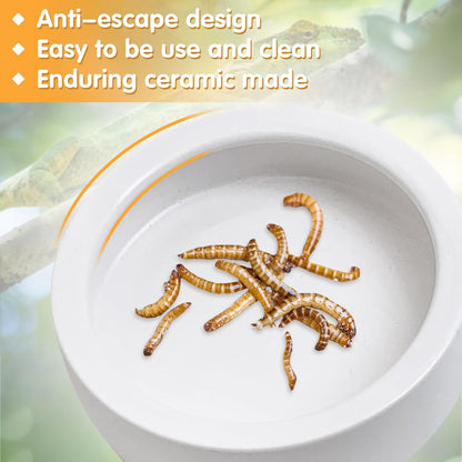 Tfwadmx 4 Pack Reptile Food Bowl, Mini Ceramic Water Feeder Bowl, Reptile Worm Feeding Dish for Lizard Turtle Bearded Dragon Anoles Crested Gecko Hermit Crab Leopard Gecko Chameleon Corn Snake