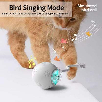 Interactive Cat Toys, Automatic Moving Cat Toy for Bored Indoor Adult Cats, Fast Rolling , Chirping & Motion-Activated Cat Toys, Fun Gift for Cats with Speedy Tail 2.0, USB Rechargeable(gray)