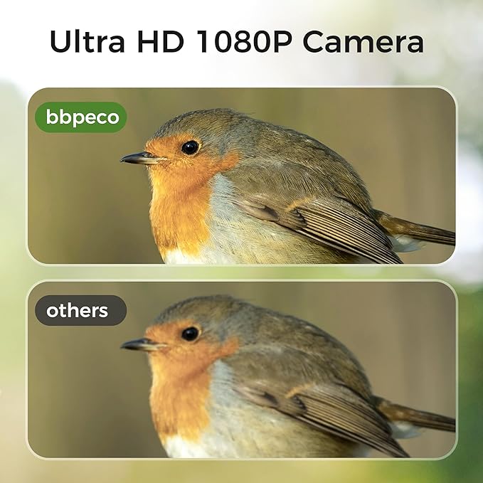 Bird Feeder with Camera, BBPECO Smart Bird House Cam with Instant Arrival Alerts, AI Identifies 10,000+ Species & Free Cloud Video, Suitable for Birdwatching (Powered by Birdty App)