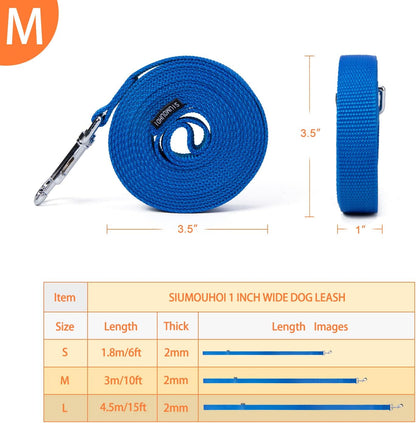 Strong Durable Nylon Dog Training Leash, 1 Inch Wide Traction Rope, 6 ft 10ft 15ft Long, for Small and Medium Dog (Blue, 10 Feet)