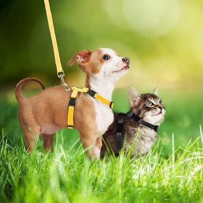 Outus 5 Pieces Adjustable Rabbit Harness and Leash Set Escape Proof Bunny Harness Vest for Pet Running Walk Jogging Bunny Cat Puppy Kitten Ferret and Other Small Pet(Lovely Color)