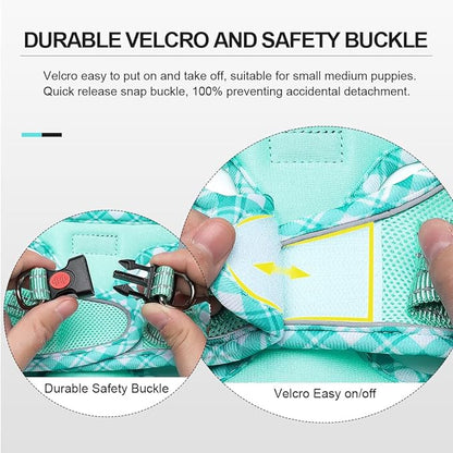 Mercano Soft Mesh Dog Harness and Leash Set, No-Chock Step-in Reflective Breathable Lightweight Easy Walk Vest Harnesses with Safety Buckle for Small Dogs, Cats (Light Green, L)