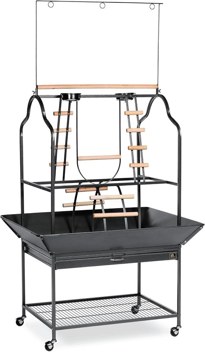 Prevue Pet Products Large Parrot Playstand with Wheels, Bird Stand Activity Play Center with Perches and Ladders, Indoor Outdoor Playground for Birds, Black Hammertone Finish