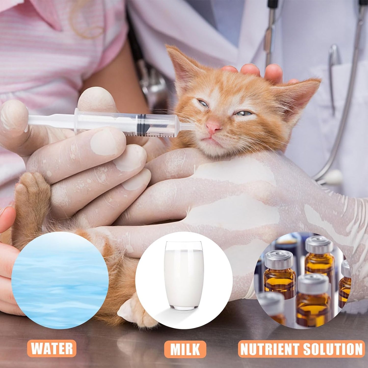 Baby Bird Feeding Syringe Set, Pet Parrot Milk Feeding Syringe with Tubes, Parrot Feeder Tubes Measuring Tools for Feeder Pets Scientific Industrial Labs… (10ml+10ml+20ml+60ml)