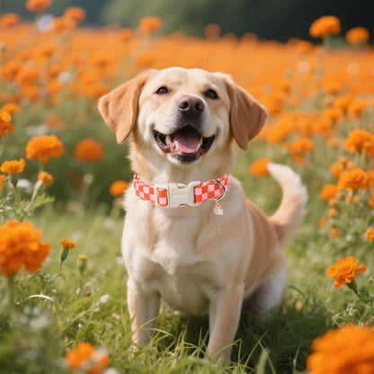 DOGWONG Pink Plaid Dog Collar, Pink Girl Dog Collars, Adjustable Cute Pet Collars Girl Design Dog Collar for Small Medium Large Dogs