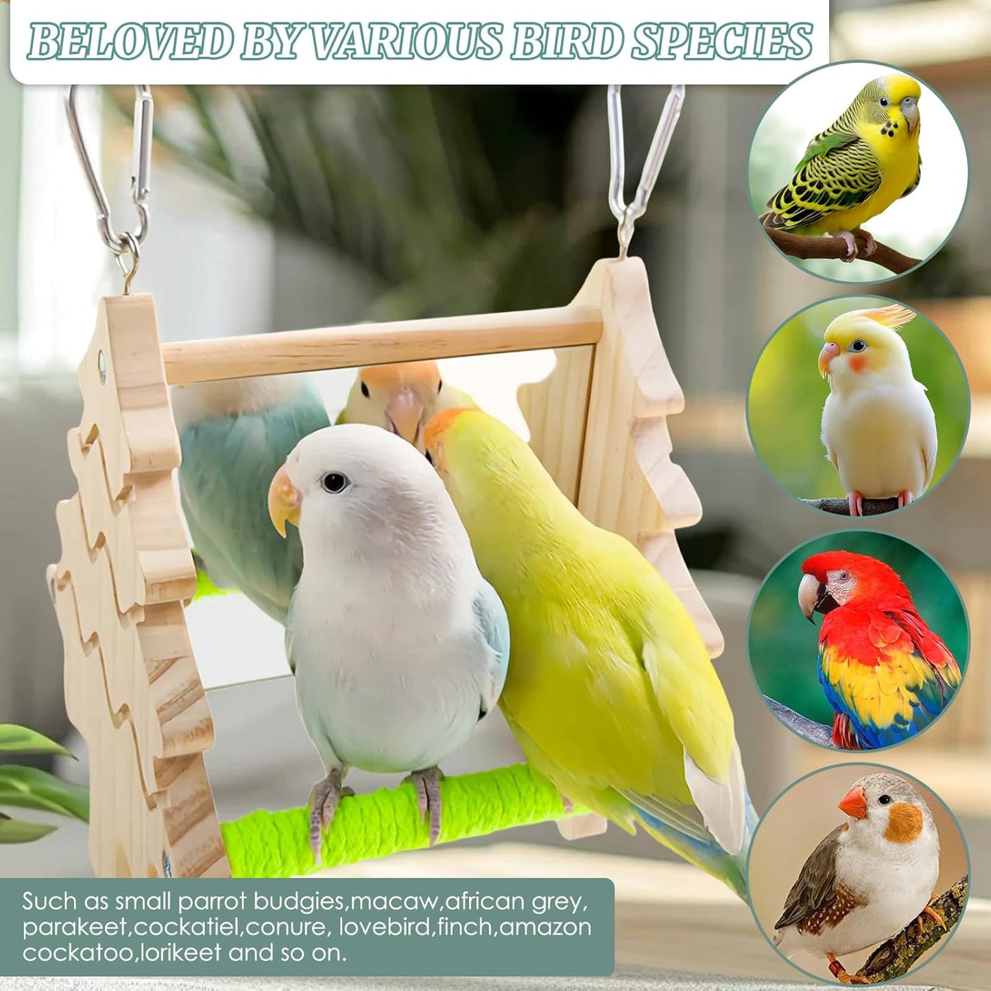 Small Bird Mirror Parrot Swing,Bird Stand Perch Toy,Double Sided Mirror Swing with Chew Flower Perch Safe Parakeet Budgie Cockatiel Cage Accessories for Biting Anxiety.