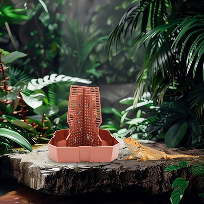 Bearded Dragon Tank Accessories, Lizard Feeder, Reptile Food Cup, Dubia Roaches Organizer with Column for Prey to Climb and Move, Food Bowl for Bearded Dragon, Gecko, Frog