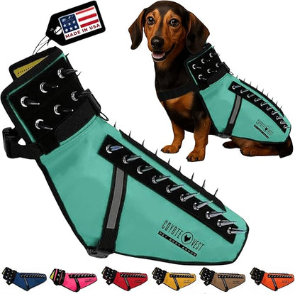 CoyoteVest Dog Harness Protection Vest, Reflective Dog Accessories with Spikes to Shield Your Pet from Raptor and Animal Attacks, Proudly Made in America (Small, Turquoise)