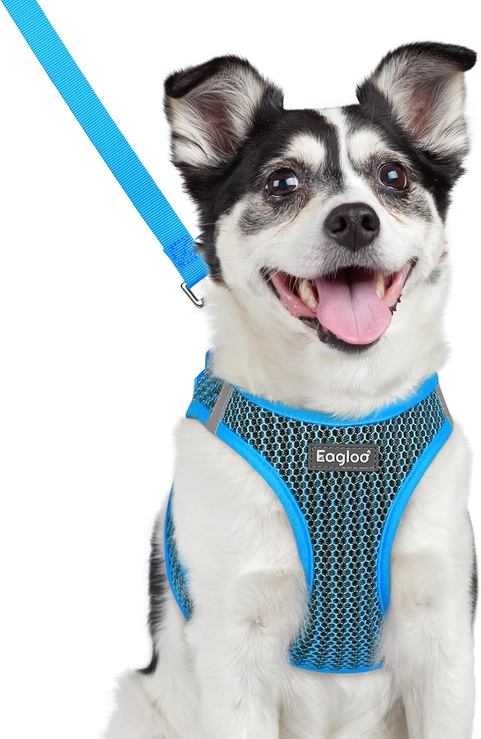 Eagloo Small Dog Harness and Leash Set, Step in Puppy Vest with Breathable Soft Mesh, Walking Reflective Pet Harness for Medium Small Dogs, Blue, L