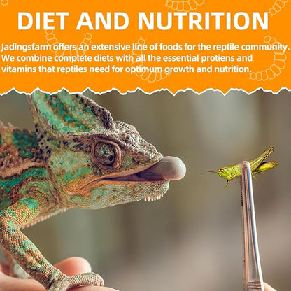 6 Pack Canned Grasshoppers for Reptiles, Fish, Birds and Small Animals, Grasshoppers, Healthy High Protein Treat, Bearded Dragon Food 7.2 Ounces Total