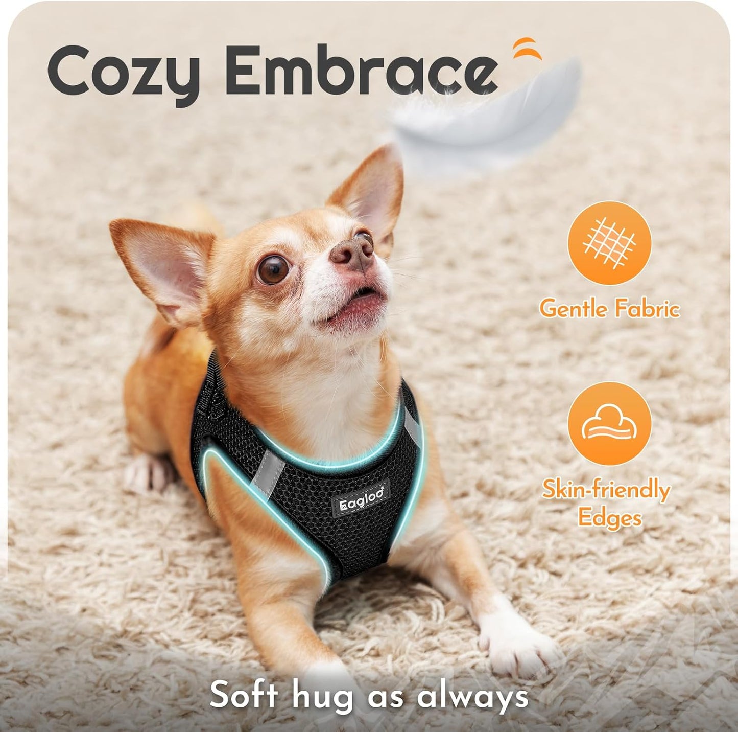 Eagloo Small Dog Harness and Leash Set, Step in Puppy Vest with Breathable Soft Mesh, Walking Reflective Pet Harness for Small Dogs, Black, XS