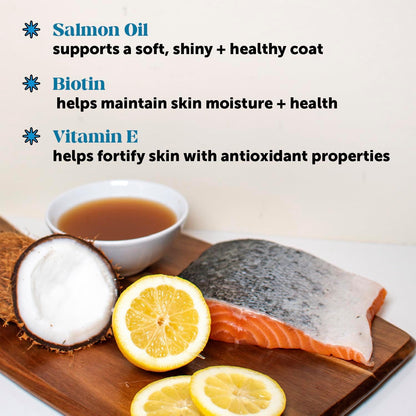 Pet Honesty Dog Skin and Coat Supplement with Salmon Oil for Dogs - Allergy Itch Relief + Skin & Coat Health, Dog Food Topper Bone Broth with Salmon Oil, Collagen, Biotin + Vitamin E (12 oz)