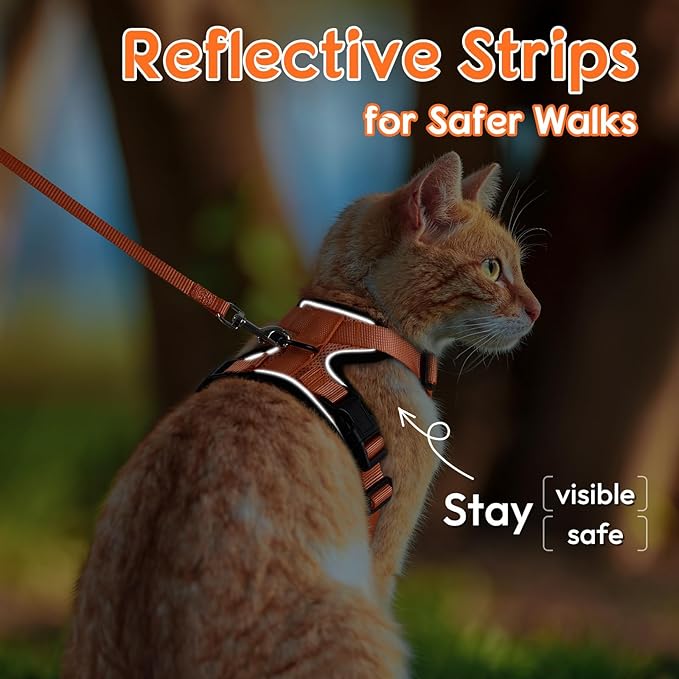 Dooradar Cat Harness and Leash Set, Escape Proof Safe Adjustable Kitten Vest Harnesses for Walking, Easy Control Soft Breathable Mesh Jacket with Reflective Strips for Cats, Orange, XXS
