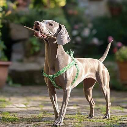 QQPETS Dog Harness Leash Set Adjustable Heavy Duty No Pull Halter Harnesses for Small Medium Large Breed Dogs Back Clip Anti-Twist Perfect for Walking