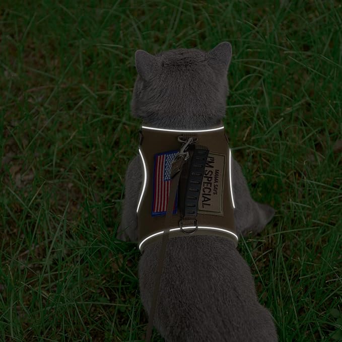 PUPTECK Soft Mesh Cat Vest Harness and Leash Set Puppy Padded Pet Harnesses Escape Proof for Cats Small Dogs Rabbits Bunny, Tactical Yellow, XL