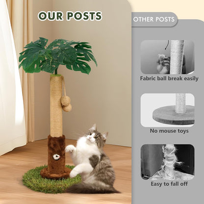 Cat Scratching Posts Cat Trees 26.4" Tall with Sisal Rope Cat Toy and Hanging Ball for Indoor,Wooden Palm Tree Cat Scratch Pole for Kitty