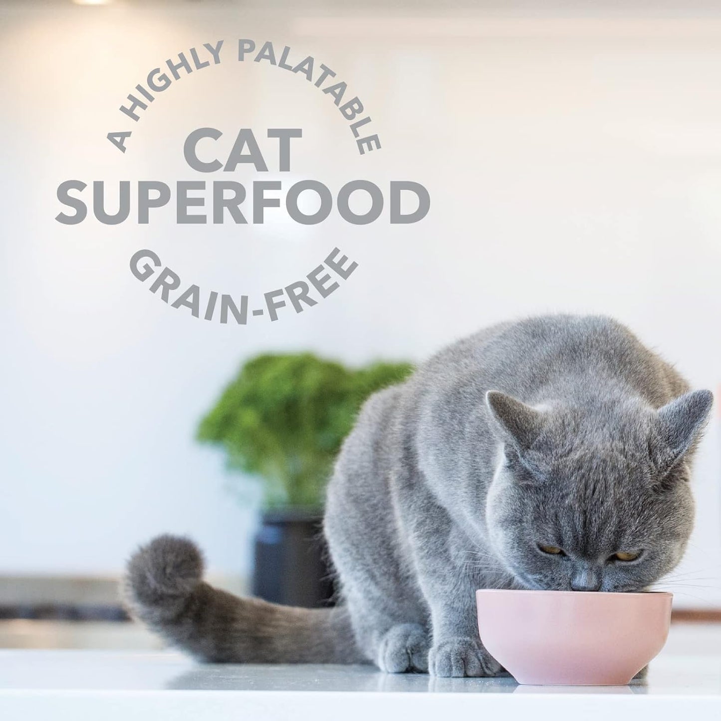 Feline Natural Grain-Free Freeze-Dried Cat Food, New Zealand Lamb & Venison 11oz