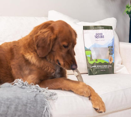 Good Trouble Premium Deer Antlers for Large Dogs – 2 Whole Antlers Pets - North American Sourced for Dental Health & Anxiety Relief - Odor-Free & Non-Toxic Chew Bone for Dogs