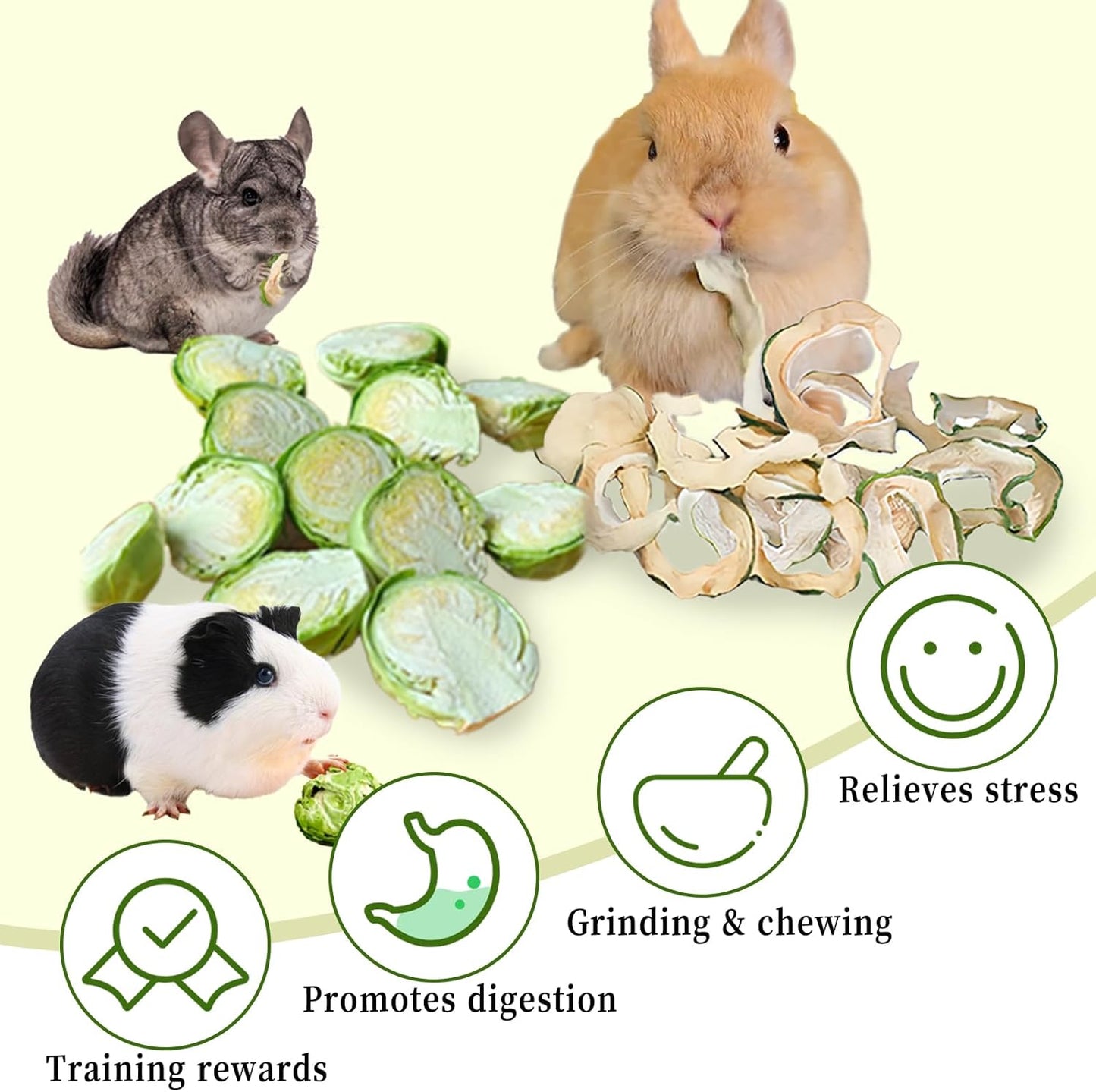 Hamiledyi Rabbit Treats Small Pets Chew Toys Bunnies Guinea Pigs Hamsters Chinchillas Rodents Dried Natural Mix Container Feeding Foraging Treats (9OZ)