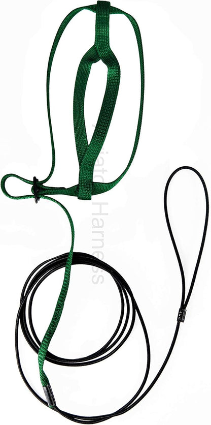 The AVIATOR Pet Bird Harness and Leash: Small Green
