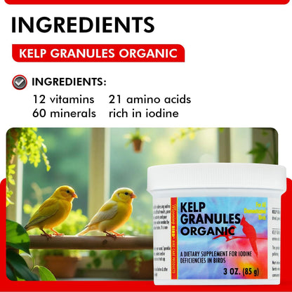 Morning Bird Kelp Granules 3 Oz – Iodine Supplement for Birds – Supports Feather Growth, Molting & Metabolism – Rich in Amino Acids, Trace Minerals & Natural Vitamins – Clean Nutrition for All Birds