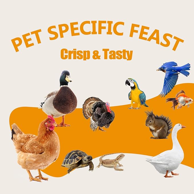 Dried Mealworms 10LB - Non-GMO Meal Worms for Chickens & Birds - Insect Protein Poultry Feed, Natural Chicken Worms ideal for Wild Birds, Reptile Tasty Bird Treats, Laying Hens,Bird Seed Alternative