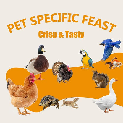 2LB Mealworms for Chickens Bulk - Non GMO High Calcium Dried Meal Worms for Wild Birds,Turkeys, Reptiles Food for Laying Hens Worms More Protein Than BSF Larvae for Chickens Treats Grubs