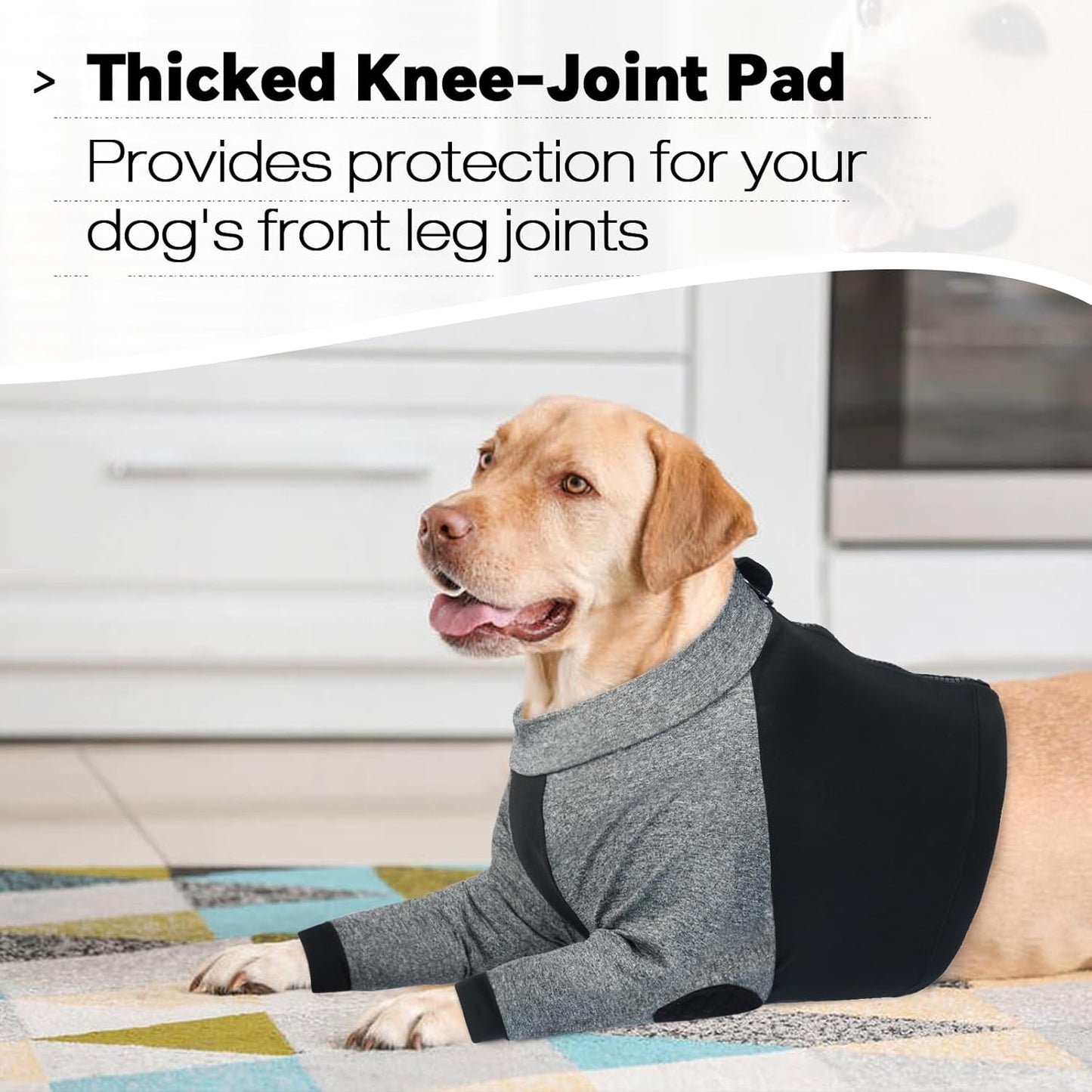 LeLePet Dog Recovery Suit for Front Legs, Dog Sleeve to Stop Licking, Elbow Protector for Leg Injuries Shoulder Wounds After Surgery Male Female,Zippered Long-Sleeved Shirt Cone Alternative(S-3XL)