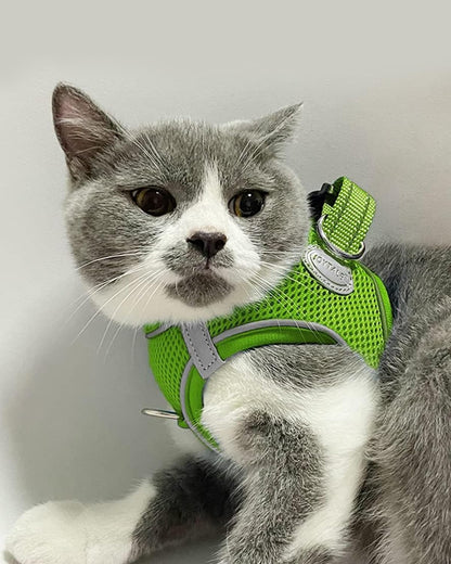 Joytale Small Dog Harness, Breathable Mesh Step-in Vest, Reflective Soft Padded Harnesses for Cats and Puppies Dogs, Green, XXXS