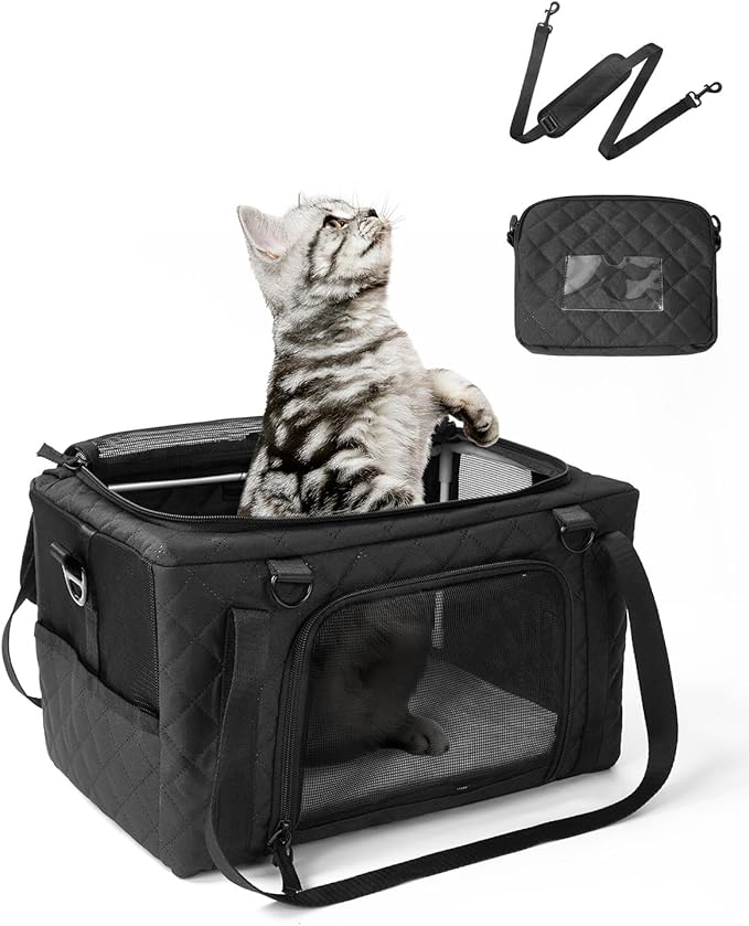 PETUX Small Cat Carrier - Pet Carrier Airline Approved for Kitten Under 10 lb - Escape-Proof, Foldable and Portable Cat Carriers with Removable Bag and Safety Buckle for Travel, Vet Visits - Black