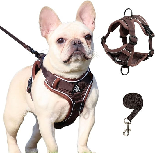 SOLMOONY Small Dog Harness,Soft Mesh Puppy Harness and Leash Set,No Escape Cat Harnesses for Training Walking,Reflective Adjustable Puppy Vest for Small Medium Dogs, Cats (Brown, XL)