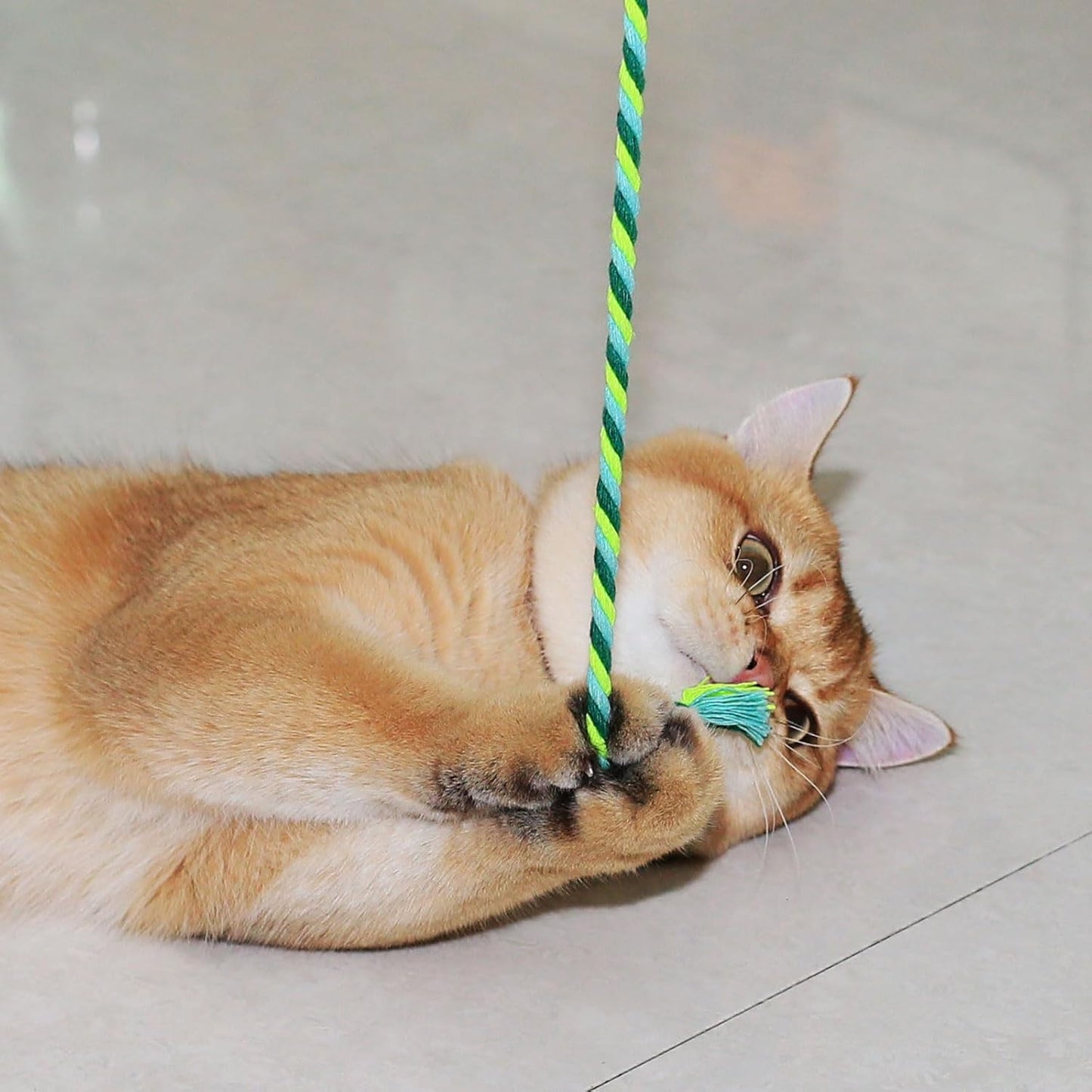 Interactive Cat Toys, 3 Pcs Cat Wand Toys for Indoor Kitten with Colorful Hemp Rope and Small Bell, Kitty Teaser String Toy for Indoor Cats to Chase and Exercise